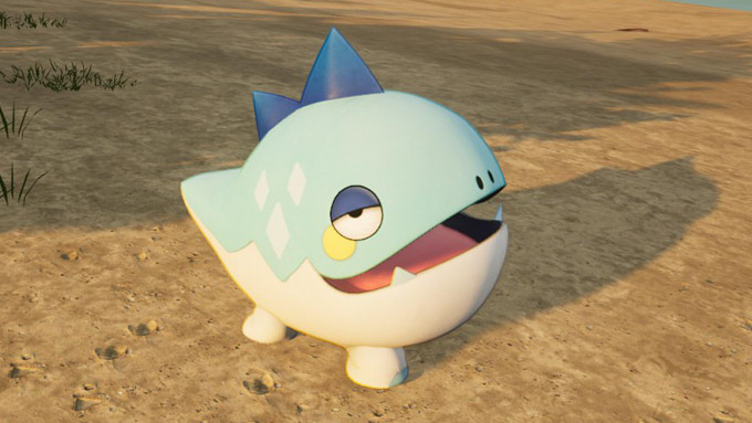 コチワニ