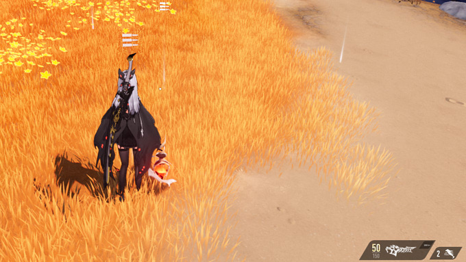 拾えないアイテム