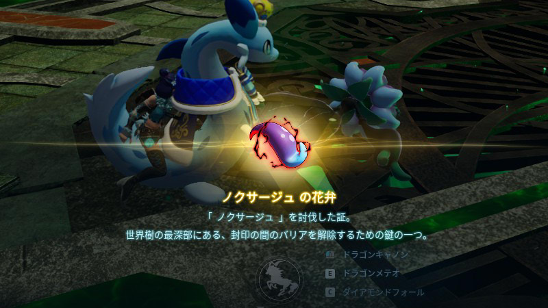 ノクサージュの花弁